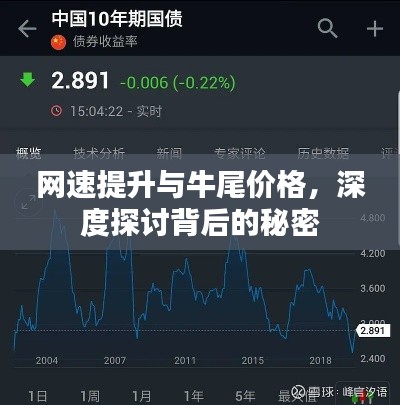网速提升与牛尾价格,深度探讨背后的秘密