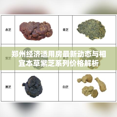 不求甚解