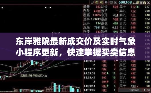 东岸雅院最新成交价及实时气象小程序更新,快速掌握买卖信息与天气动态!