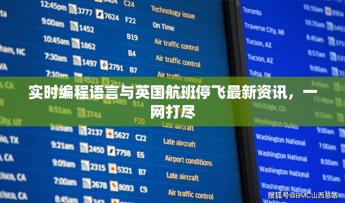 实时编程语言与英国航班停飞最新资讯,一网打尽