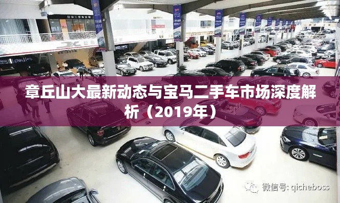 章丘山大最新动态与宝马二手车市场深度解析（2019年）