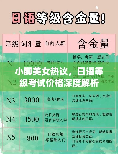 小脚美女热议，日语等级考试价格深度解析