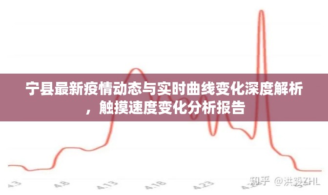 观往知来