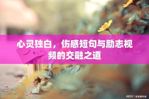 饭来张口