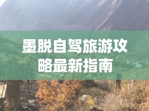 蛙蟆胜负