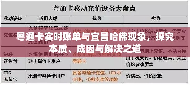 粤通卡实时账单与宜昌哈佛现象，探究本质、成因与解决之道