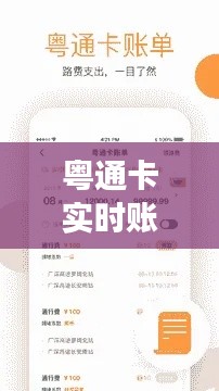 粤通卡实时账单与宜昌哈佛现象,探究本质、成因与解决之道