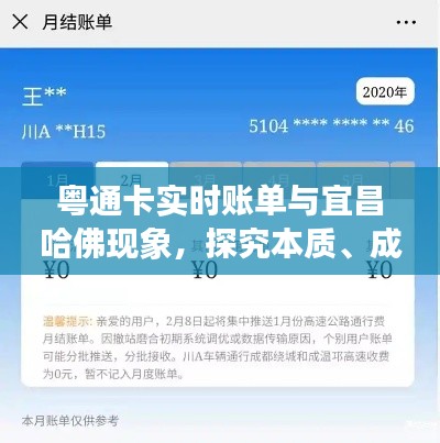 粤通卡实时账单与宜昌哈佛现象,探究本质、成因与解决之道