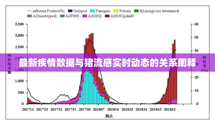 最新疾情数据与猪流感实时动态的关系阐释