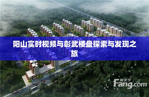 阳山实时视频与彰武楼盘探索与发现之旅