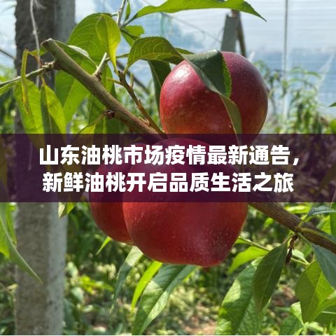蚁出蚋飞