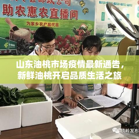 山东油桃市场疫情最新通告,新鲜油桃开启品质生活之旅
