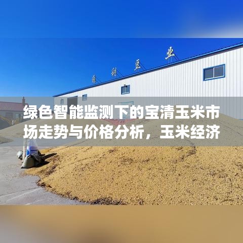 绿色智能监测下的宝清玉米市场走势与价格分析,玉米经济深度探讨