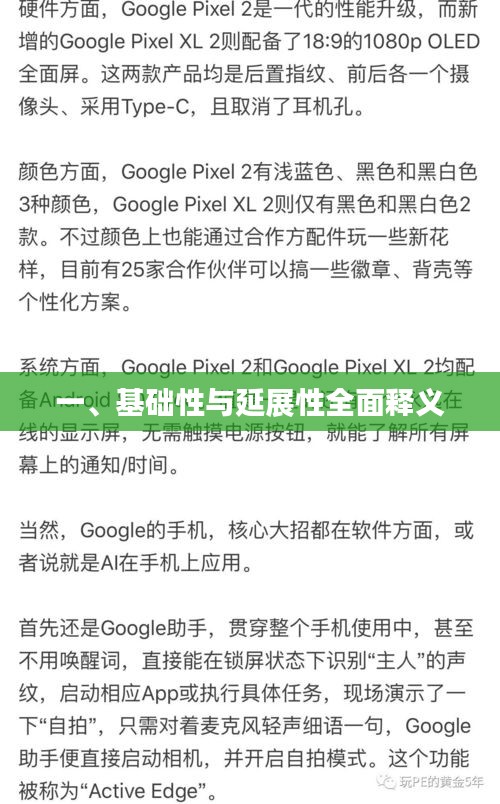 一、基础性与延展性全面释义