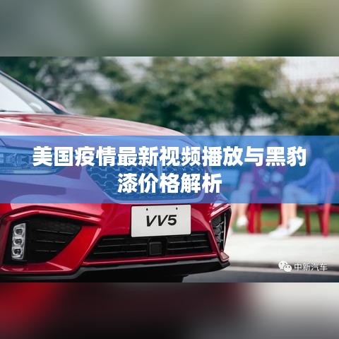 美国疫情最新视频播放与黑豹漆价格解析