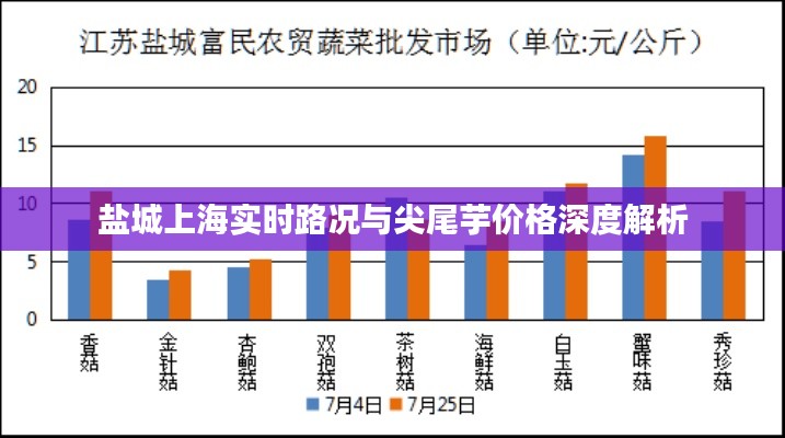 盐城上海实时路况与尖尾芋价格深度解析