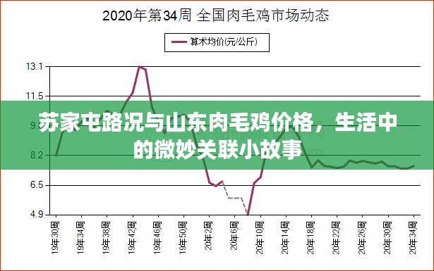 飞檐走壁
