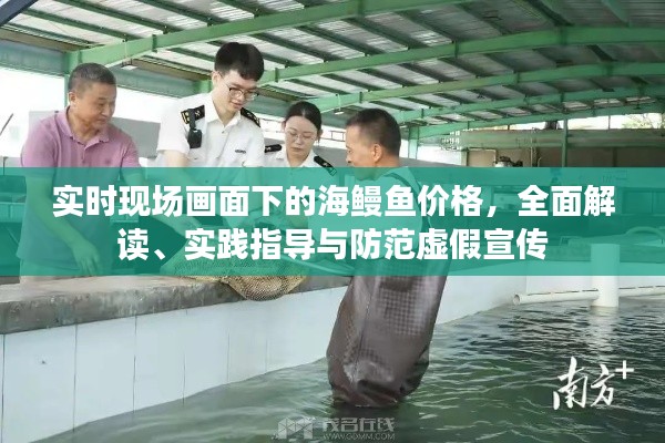 实时现场画面下的海鳗鱼价格,全面解读、实践指导与防范虚假宣传