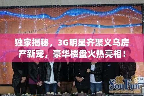 独家揭秘,3G明星齐聚义乌房产新宠,豪华楼盘火热亮相!