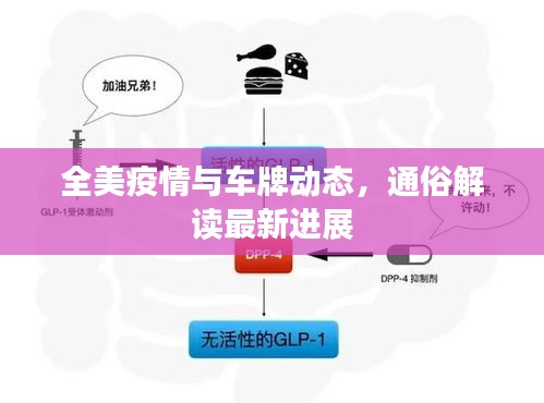 全美疫情与车牌动态，通俗解读最新进展