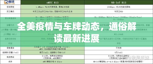 全美疫情与车牌动态,通俗解读最新进展