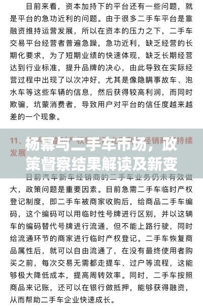 杨幂与二手车市场,政策督察结果解读及新变化概览