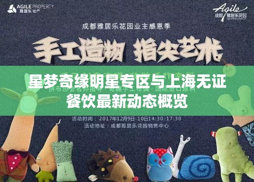 星梦奇缘明星专区与上海无证餐饮最新动态概览