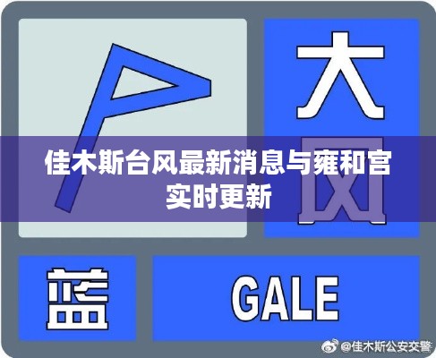 佳木斯台风最新消息与雍和宫实时更新