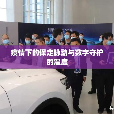 疫情下的保定脉动与数字守护的温度