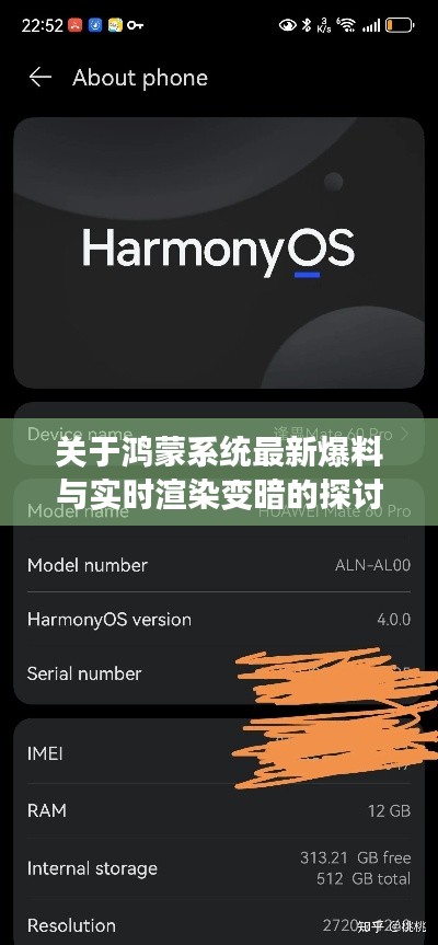 关于鸿蒙系统最新爆料与实时渲染变暗的探讨