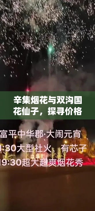 辛集烟花与双沟国花仙子，探寻价格与欢乐的奥秘之旅
