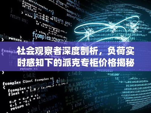 社会观察者深度剖析,负荷实时感知下的派克专柜价格揭秘