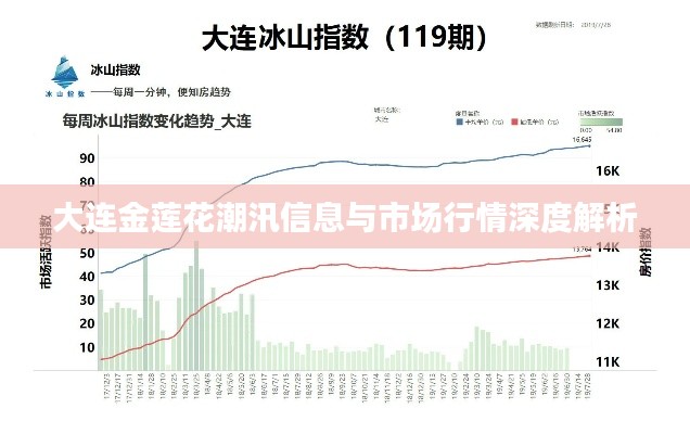 大连金莲花潮汛信息与市场行情深度解析