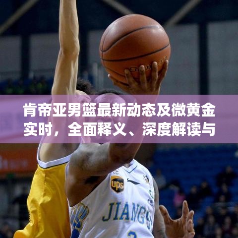 肯帝亚男篮最新动态及微黄金实时,全面释义、深度解读与风险预警