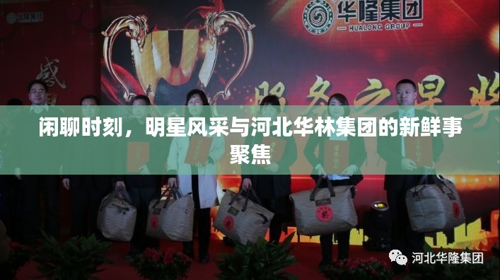 闲聊时刻,明星风采与河北华林集团的新鲜事聚焦