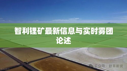 智利锂矿最新信息与实时雾团论述