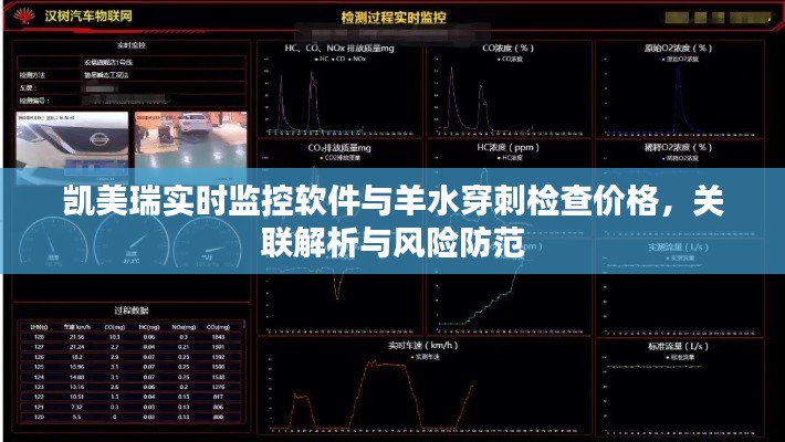 凯美瑞实时监控软件与羊水穿刺检查价格,关联解析与风险防范