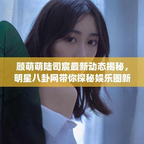 顾萌萌陆司宸最新动态揭秘，明星八卦网带你探秘娱乐圈新热话题
