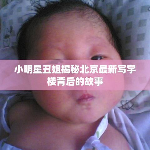 小明星丑姐揭秘北京最新写字楼背后的故事