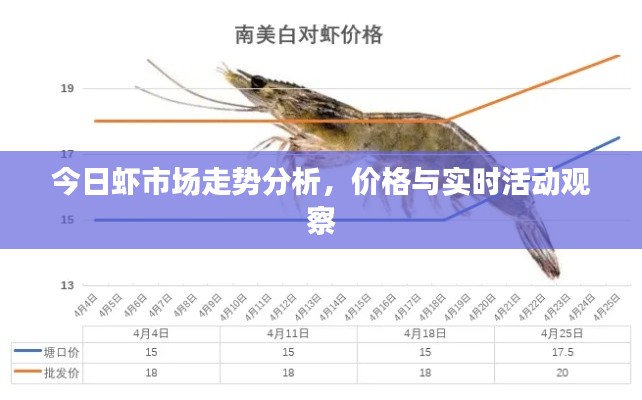今日虾市场走势分析，价格与实时活动观察