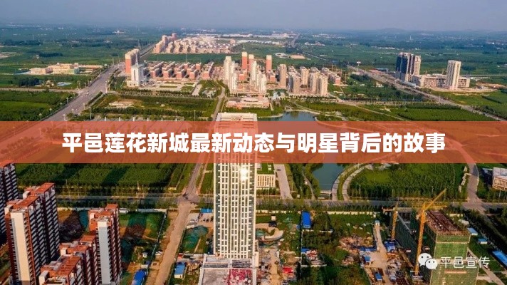 平邑莲花新城最新动态与明星背后的故事