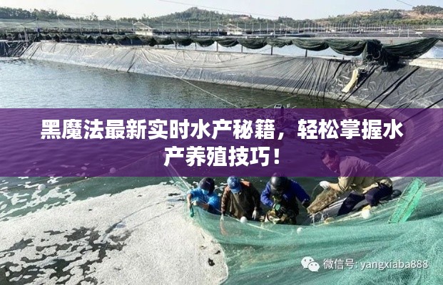 黑魔法最新实时水产秘籍,轻松掌握水产养殖技巧!