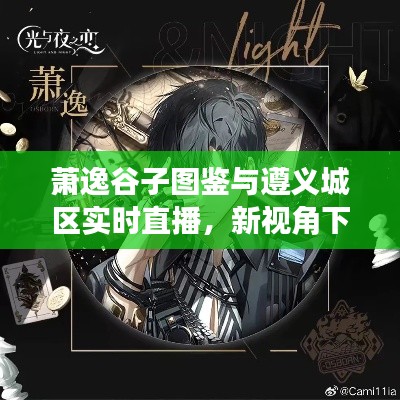 萧逸谷子图鉴与遵义城区实时直播，新视角下的探索与解读