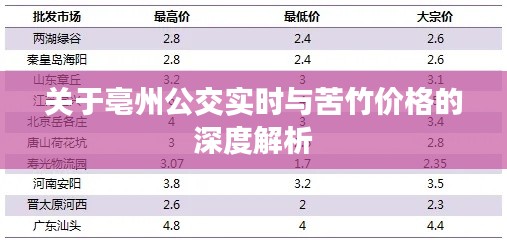 关于亳州公交实时与苦竹价格的深度解析