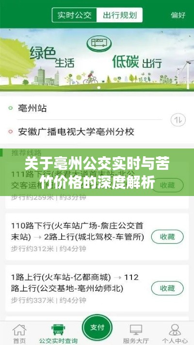 关于亳州公交实时与苦竹价格的深度解析