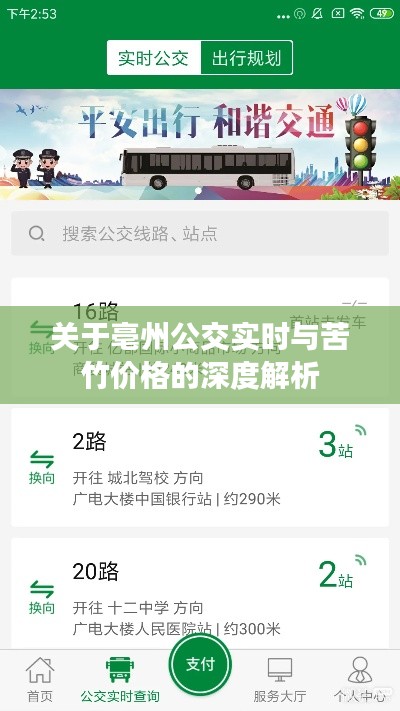 关于亳州公交实时与苦竹价格的深度解析
