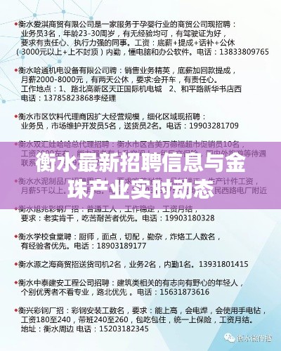 衡水最新招聘信息与金珠产业实时动态