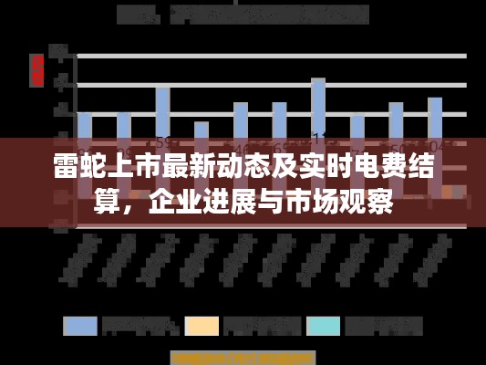 雷蛇上市最新动态及实时电费结算,企业进展与市场观察
