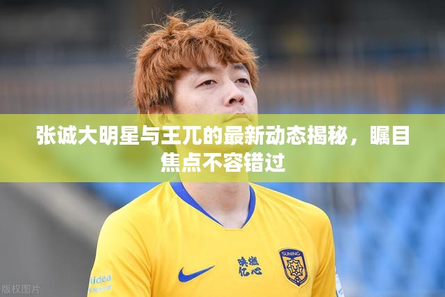 张诚大明星与王兀的最新动态揭秘,瞩目焦点不容错过