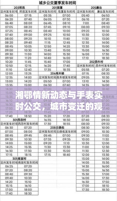 湘鄂情新动态与手表实时公交，城市变迁的观察新视角